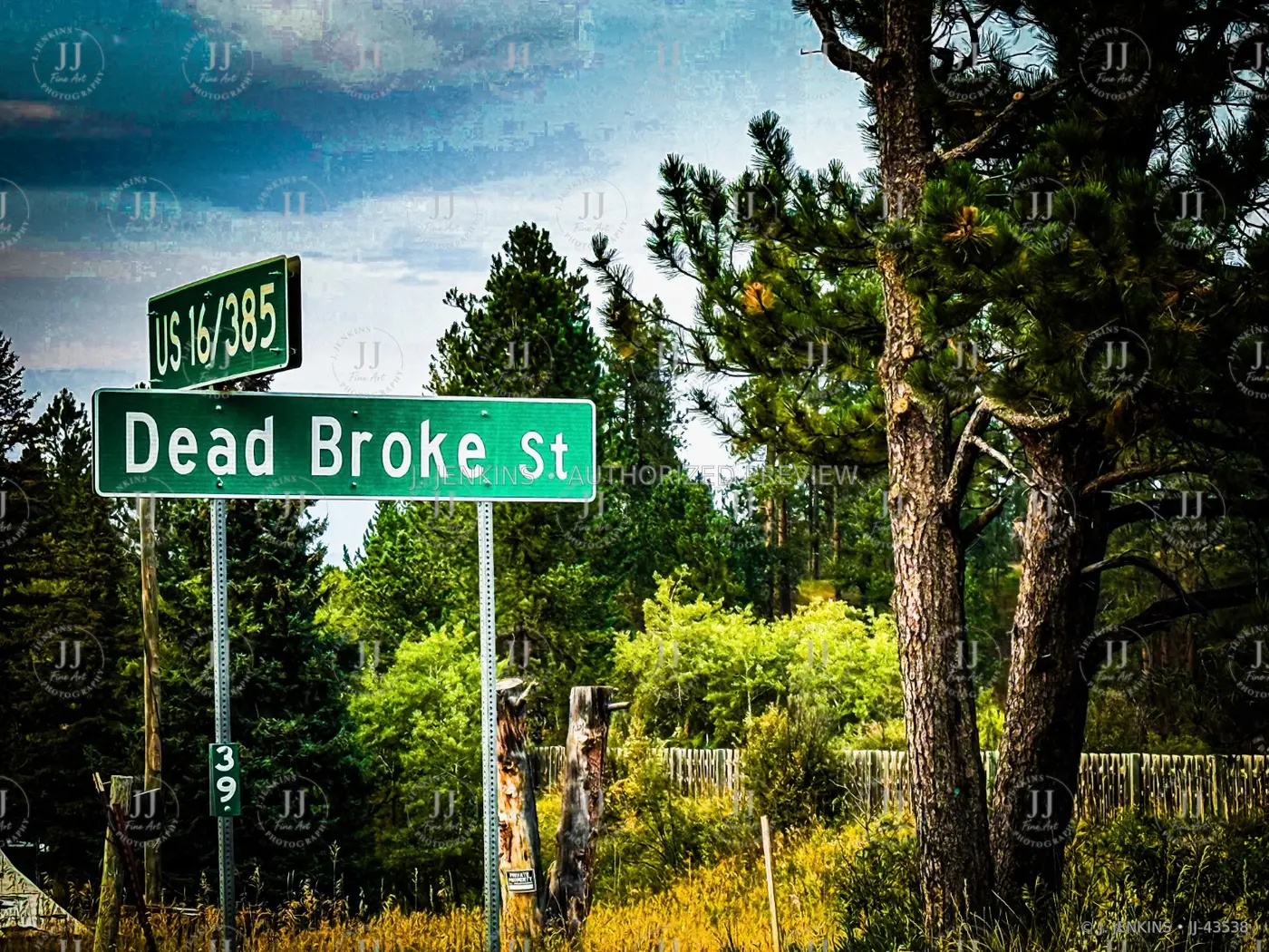 Dead Broke Street road sign against a pine forest