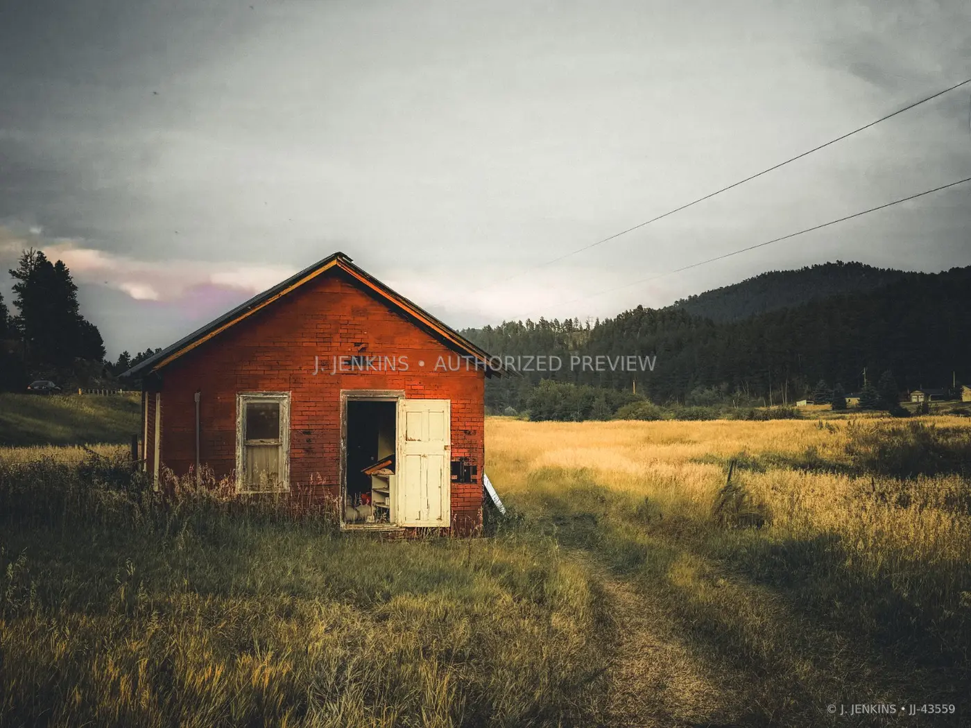 Small red building in a golden field under gray skies