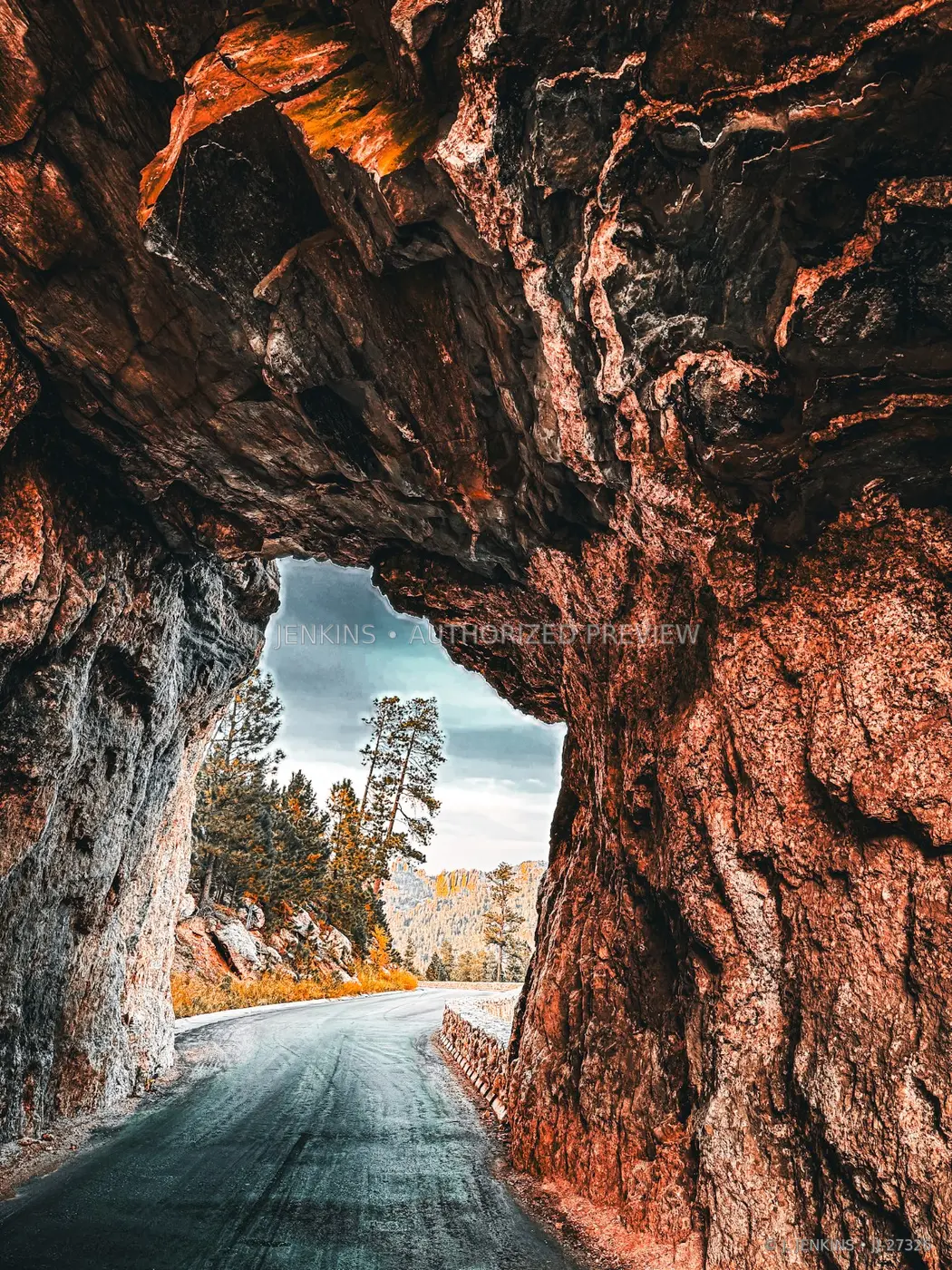Road curving through a natural rock tunnel