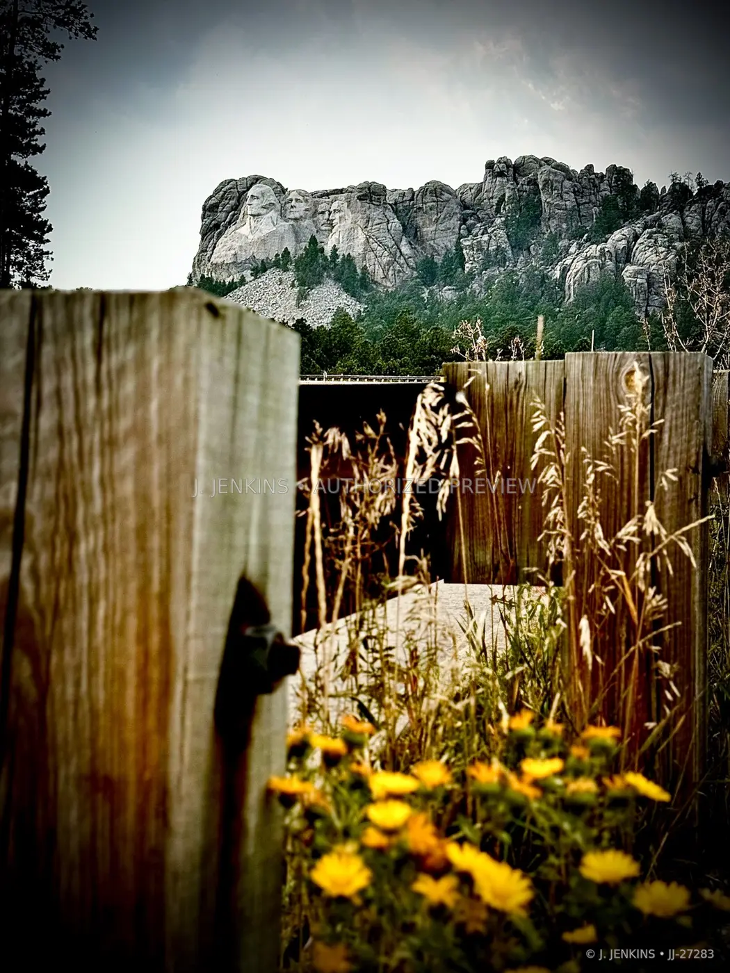 Mount Rushmore seen through weathered wooden rails