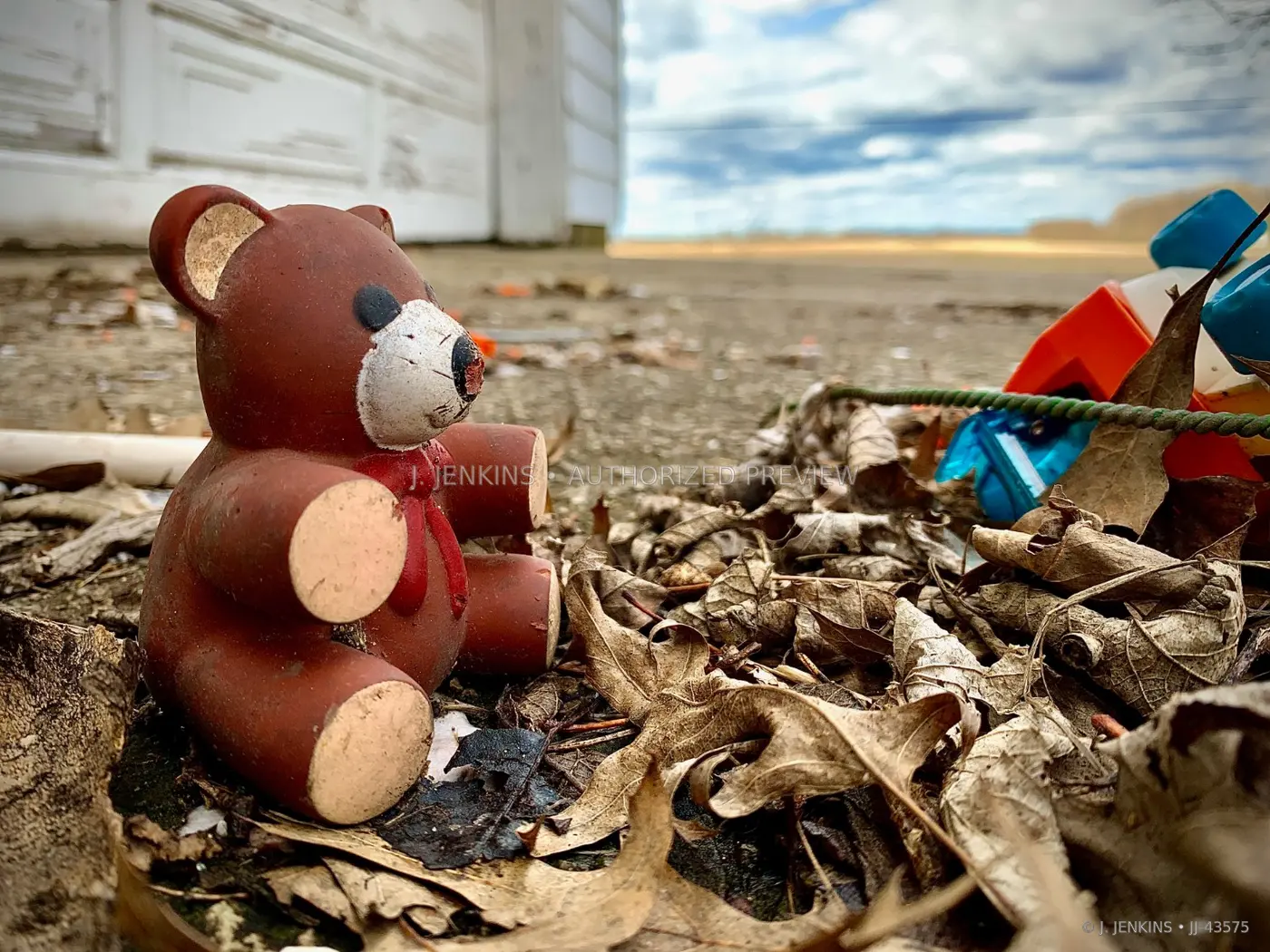 Small toy bear sitting among dry leaves and fragments