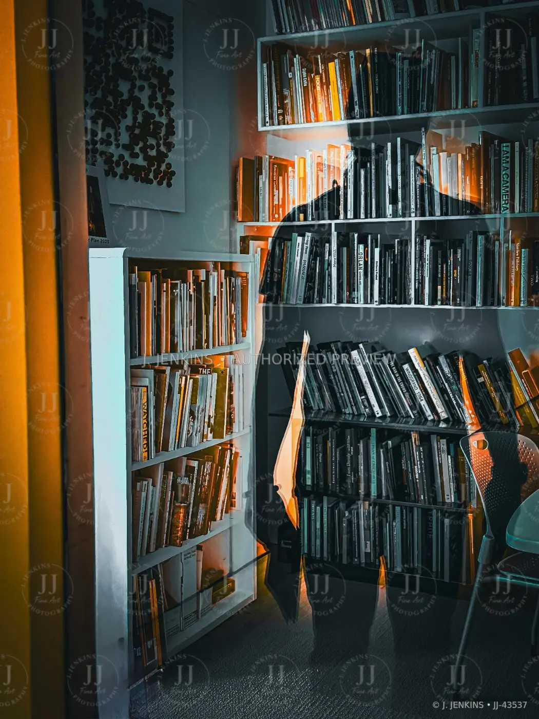 Close view of library shelves crossed by warm window light